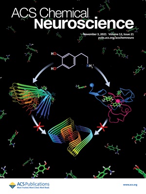Mass Spectrometry Imaging Deciphers Dysregulated Lipid Metabolism in the Human Hippocampus Affected by Temporal Lobe Epilepsy