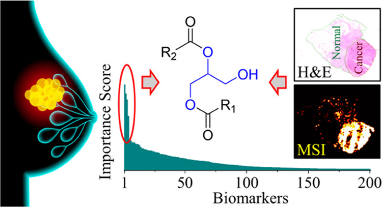 (a) Cancer Margin Analysis and Intraoperative Diagnostics