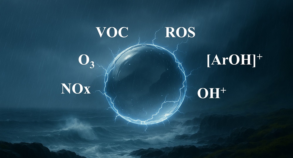 (c)	Deciphering hitherto unknown environmental reaction pathways